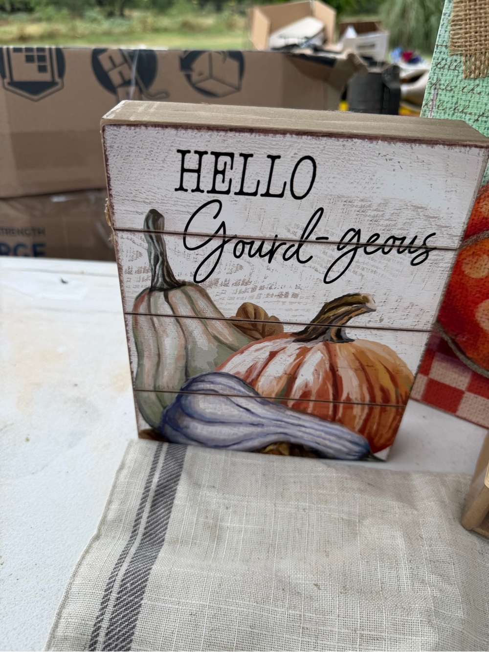 Hello Gourd-geous Pumpkin Wood Block Sign - Orange, White, Green, Purple